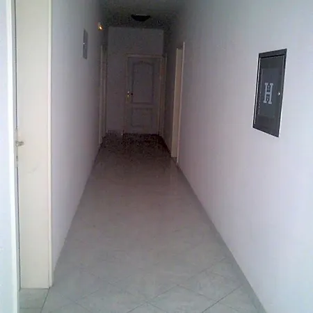 Zuco 3*